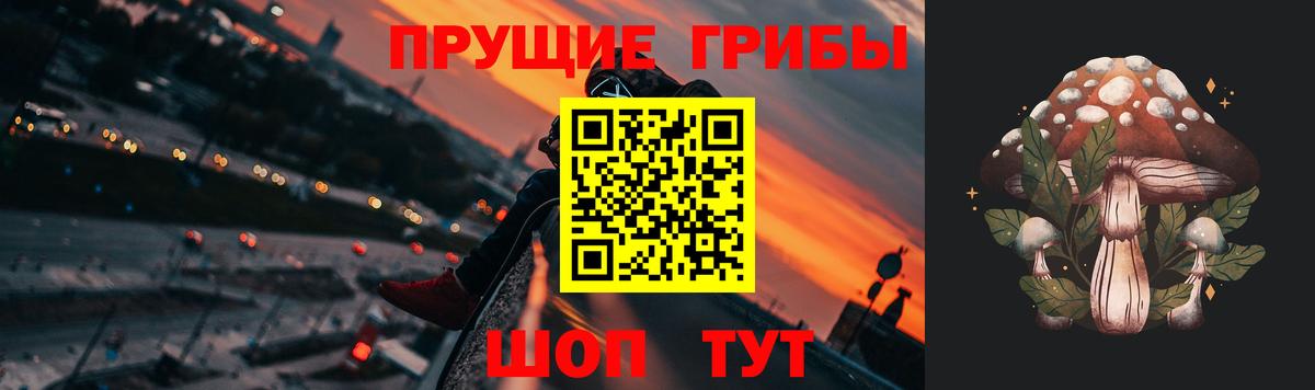 купить наркотик  Вход с VPN  Юрга  Псилоцибиновые грибы Psilocybine cubensis 
